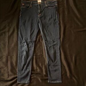 Hudson Jeans Woman’s Dark Blue Skinny Jeans